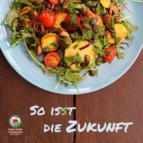 Das Buchcover mit Schriftzug und einem Foto von einem weißen Teller mit Gemüse und Salat.