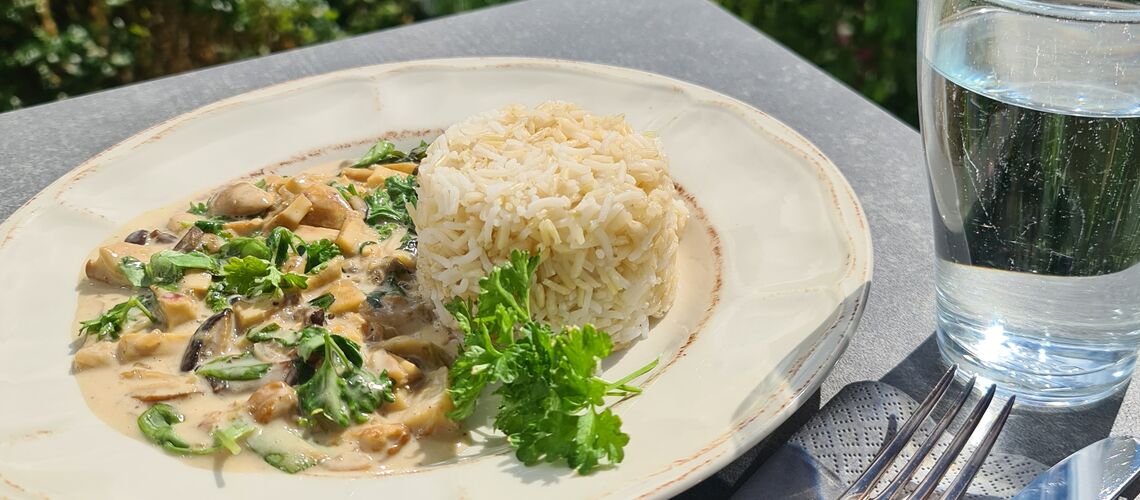 Ein Teller mit Ragout und Reis auf einem Gartentisch im Grünen.